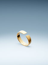 ANILLO AJUSTABLE